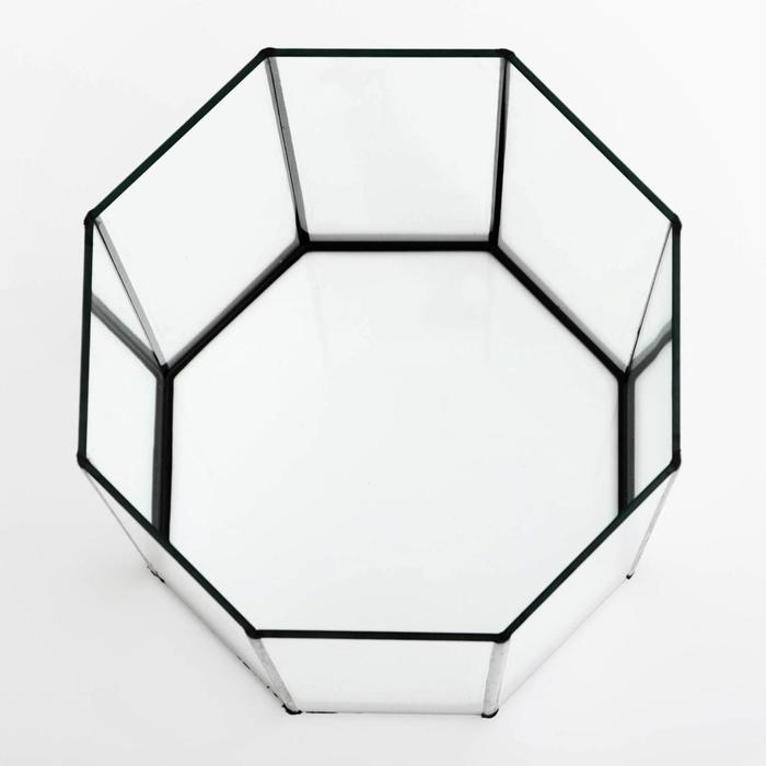 Аквариум "Восьмигранный" с крышкой, 24 литра, 25 х 25 х 46/50 см, чёрный