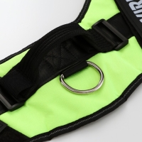 Шлейка К9 мягкая светоотражающая, размер ХХL, ОГ 95-110 см, вес 40-70 кг, салатовая