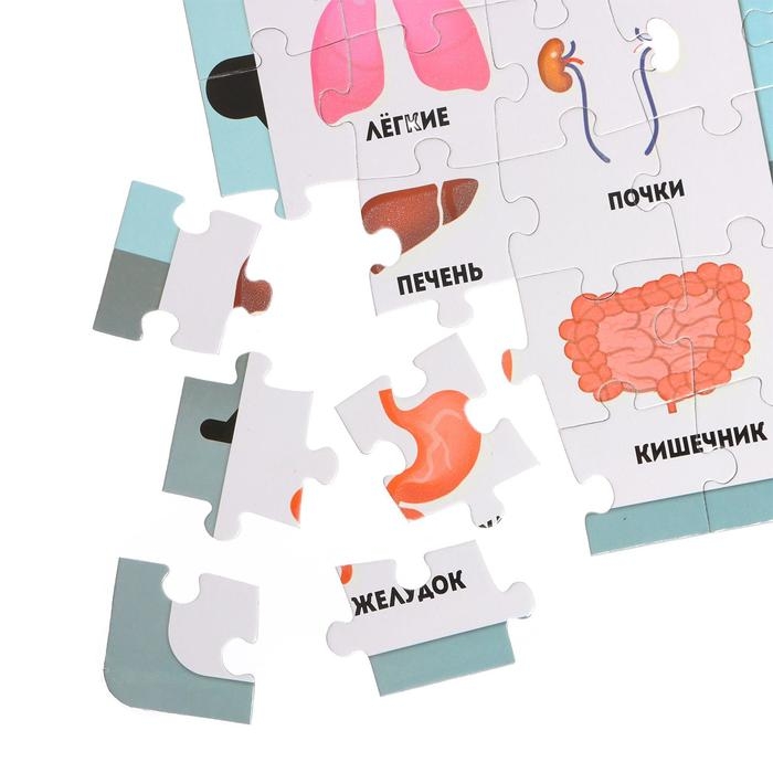 Пазлы светящиеся &laquo;Рентген-кабинет&raquo;, 88 деталей