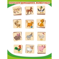 Мемори «Домашние животные» 24 деревянных элемента Мемори «Домашние животные» 24 деревянных элемента