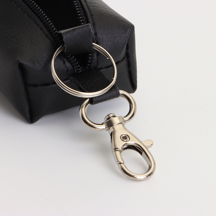 Ключница на молнии, длина 16 см, кольцо, карабин, цвет чёрный