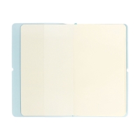 Планинг карманный недатированный, 80 листов, 100х170 мм, deVENTE.Jane, мягкая обложка ПВХ, на резинке, перфорация, ляссе, блок 70%, голубой