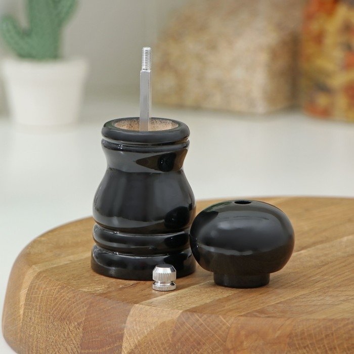 Мельница для специй Доляна &laquo;Краски&raquo;, 11 см, цвет чёрный