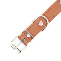 Ошейник "Собачки", 46 х 2 см,ОШ 31-40, искусственная кожа, коричневый
