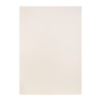 Бумага для пастели А3, 10 листов, "Пейзаж", бумага слоновая кость, ГОЗНАК, тиснение "скорлупа", блок 200 г/м2, в папке