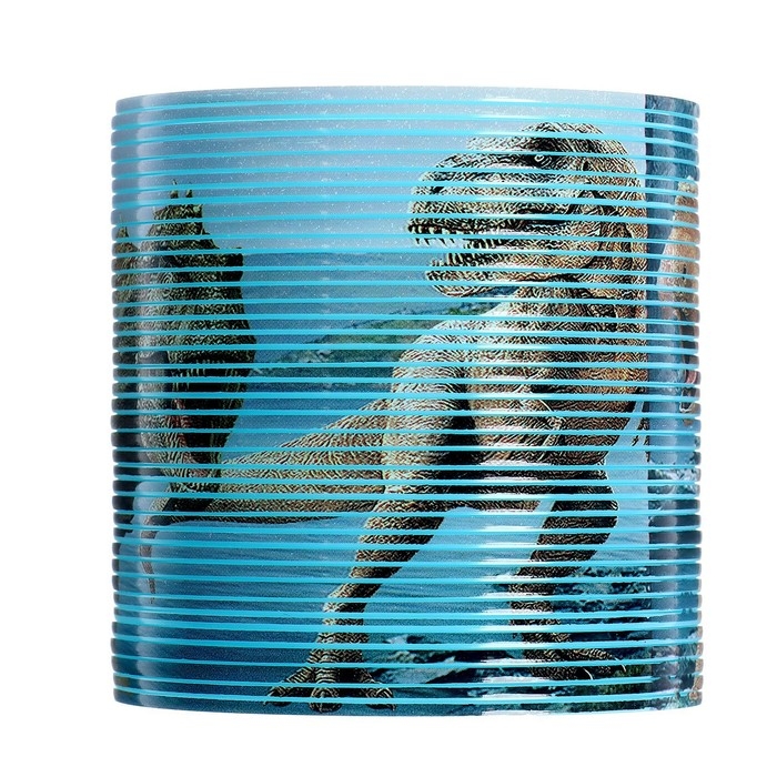 Пружинка-радуга &laquo;Динозавры&raquo;, 6,2х6,2х6,2 см