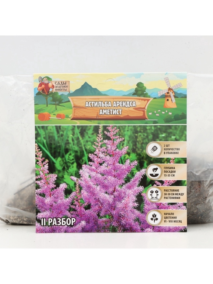 Астильба Арендса Amethyst многолетник, корневище в торфогрунте, р-р II, 2 шт.