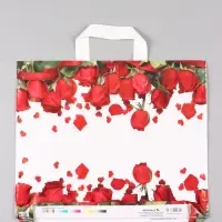 Пакет "Гран При", полиэтиленовый с петлевой ручкой, 38 х 34 + 3 см, 70 мкм