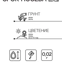 Семена Маргаритка "Весна", ц/п,  смесь, 0,02 г