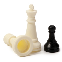 Шахматы 19 х 19 см, король h-3.3 см, d-1.5 см, доска и фигуры пластик