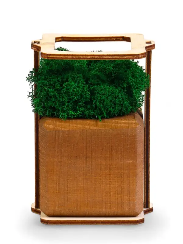 Кашпо композиция со мхом "Бриовуд", мох стабилизированный: Forest green (Зелёный лес)