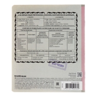 Комплект предметных тетрадей 36 листов, 12 штук, ErichKrause "Академкнига", мелованный картон, блок офсет 100% белизна, инфо-блок