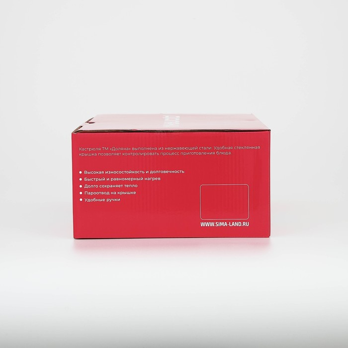 Кастрюля из нержавеющей стали Доляна &laquo;Гретте&raquo;, 3,2 л, d=20 см, с крышкой, капсульное дно, индукция