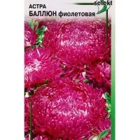 Семена цветов Астра Баллюн фиолетовая 30 шт