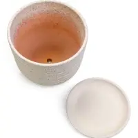 Горшок цветочный  с поддоном 2,9 л, белый керамика "Пряности" (М)