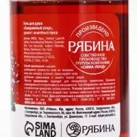 Подарочный набор новогодний в санях: 2 геля для душа, соль для ванны и мочалка, URAL LAB