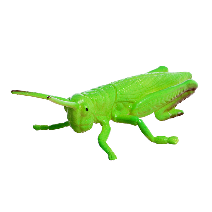 Набор насекомых &laquo;Лес&raquo;, 8 фигурок, длина 12 см