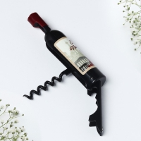 Магнит-открывашка &laquo;Санкт - Петербург&raquo;, 2,5 х 11,8 х 2,5 см