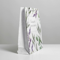 Пакет подарочный ламинированный, упаковка, &laquo;Best wishes&raquo;, ML 21 х 25 х 8 см