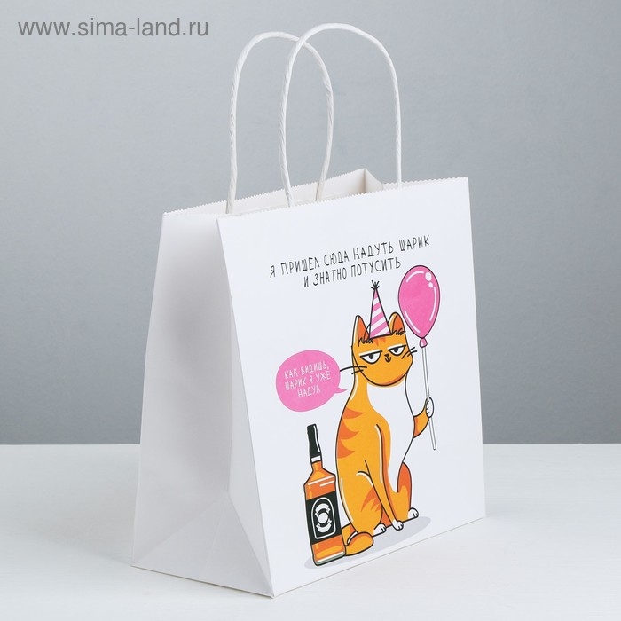 Пакет подарочный, упаковка, &laquo;Туса&raquo;, 22 х 22 х 11 см