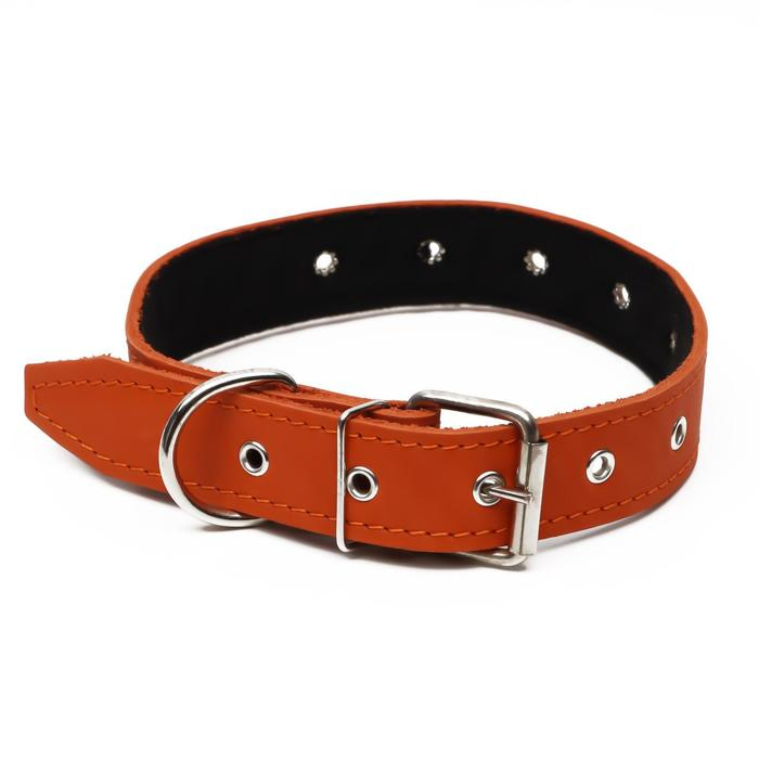 Ошейник кожаный на синтепоне, безразмерный, 71 х 3,5 см, ОШ 29-62 см, оранжевый Ошейник кожаный на синтепоне, безразмерный, 71 х 3,5 см, ОШ 29-62 см, оранжевый