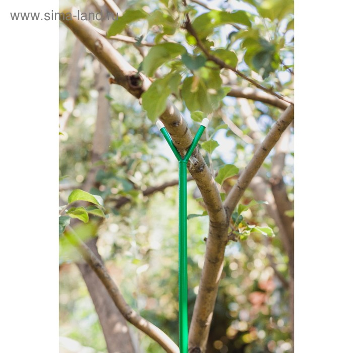 Опора для ветвей, h = 160-280 см, ножка d = 1,6 см, металл, зелёная