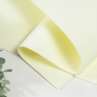 Фоамиран иранский 2 мм (шампань/107) 60х70 см Фоамиран иранский 2 мм (шампань/107) 60х70 см