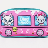 Сумка поясная детская для девочки &laquo;Котята&raquo; 20х11х4см