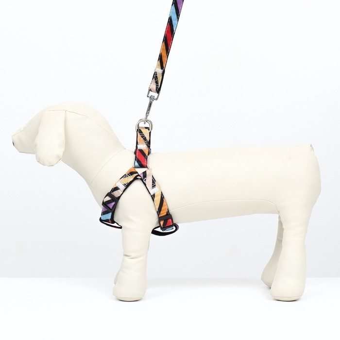 Комплект амуниции двухслойный, размер L, поводок 120 х 2 см, ОШ 31-45 см , ОГ 35-52 см, разноцветный