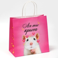 Пакет подарочный, упаковка, &laquo;Ля ты&raquo;, 22 х 22 х 11 см
