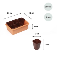 Набор для рассады: стаканы по 250 мл (6 шт.), контейнер 24 &times; 16 см, МИКС
