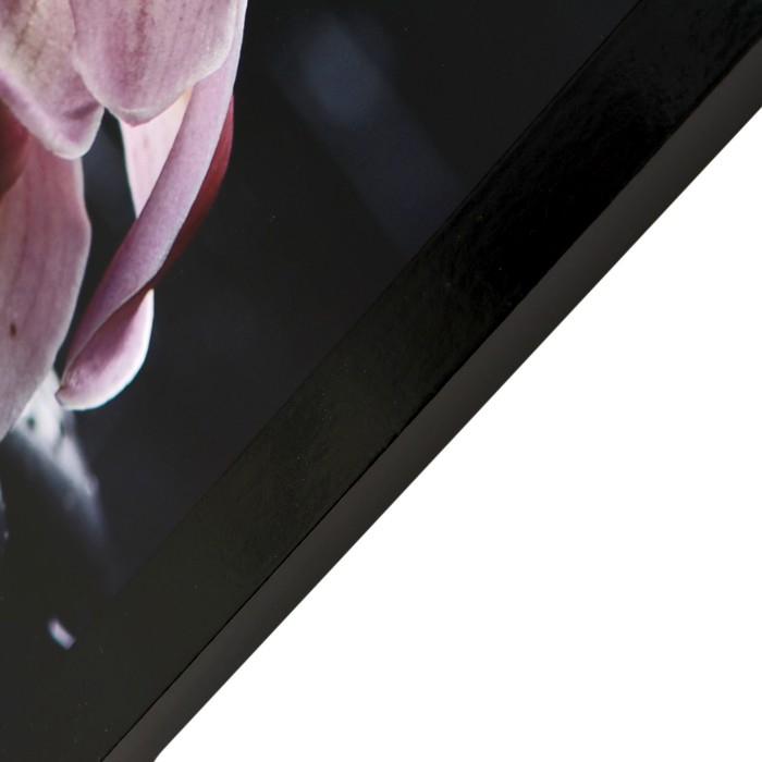 Картина "Цветы на камнях" 67х107 см рамка микс