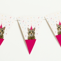 Гирлянда &laquo;Котик&raquo;