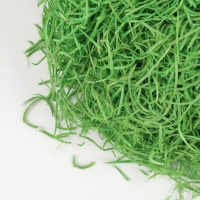 Наполнитель для декора «Сено», 100 гр, цвет зелёный Наполнитель для декора «Сено», 100 гр, цвет зелёный