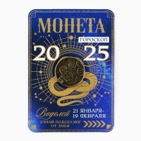 Монета гороскоп 2025 новогодняя «Водолей» на Новый год, латунь, диам. 2, 5 см Монета гороскоп 2025 новогодняя «Водолей» на Новый год, латунь, диам. 2, 5 см
