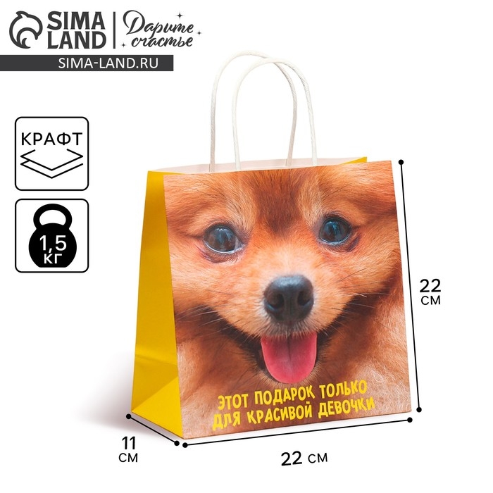 Пакет подарочный, упаковка, &laquo;Подарочек&raquo;, 22 х 22 х 11 см