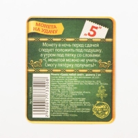 Монета сувенир &laquo;Студенческий пятак&raquo;, d=2 см.