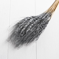 Сухой колос пшеницы, набор 30 шт., цвет серебряный