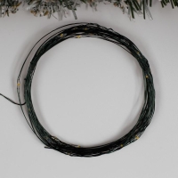 Гирлянда &laquo;Нить&raquo; 5 м роса, IP20, зелёная нить, 50 LED, 2 режима, батарейки AAх3 (нет в комплекте), свечение тёплое белое