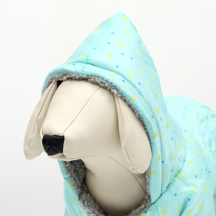 Комбинезон Комбинезон "нежный путь" на меховом подкладе, размер XXL (ДС 45, ОШ 45, ОГ 55 см), голубой