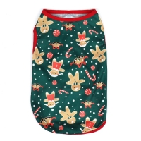 Толстовка "Пряня", размер XL (ДС 40, ОШ 40, ОГ 50 см), зелёная Толстовка "Пряня", размер XL (ДС 40, ОШ 40, ОГ 50 см), зелёная