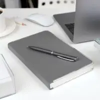 Ручка шариковая Ringa, серая