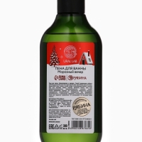 Ural Lab Winter Melody Пена для ванны Frosty winter night, 300 мл, морозный вечер Ural Lab Winter Melody Пена для ванны Frosty winter night, 300 мл, морозный вечер