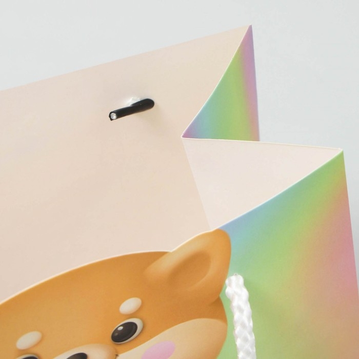 Пакет подарочный, упаковка, &laquo;Сюрприз&raquo;, 25 х 26 х 10 см