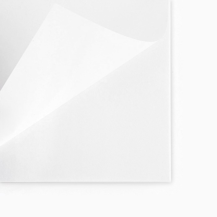 Альбом для рисования 40 листов А4 на пружине &laquo;Пантера&raquo; обложка 200 г/м&sup2;, бумага 100 г/м&sup2;.