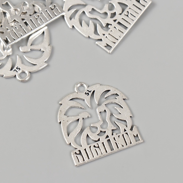 Металлический элемент, декоративная подвеска &laquo;Мой папа: Лев&raquo; набор 5 шт 2,5х2,6 см