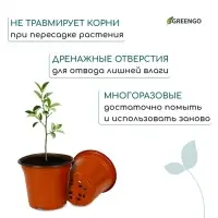 Горшок для рассады, 2.5 л, d=18 см, h=14.5 см, мягкий пластик, терракот, Greengo