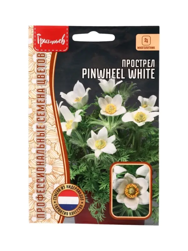 Семена цветов Прострел Pinwheel White 3шт.  12.29 г.