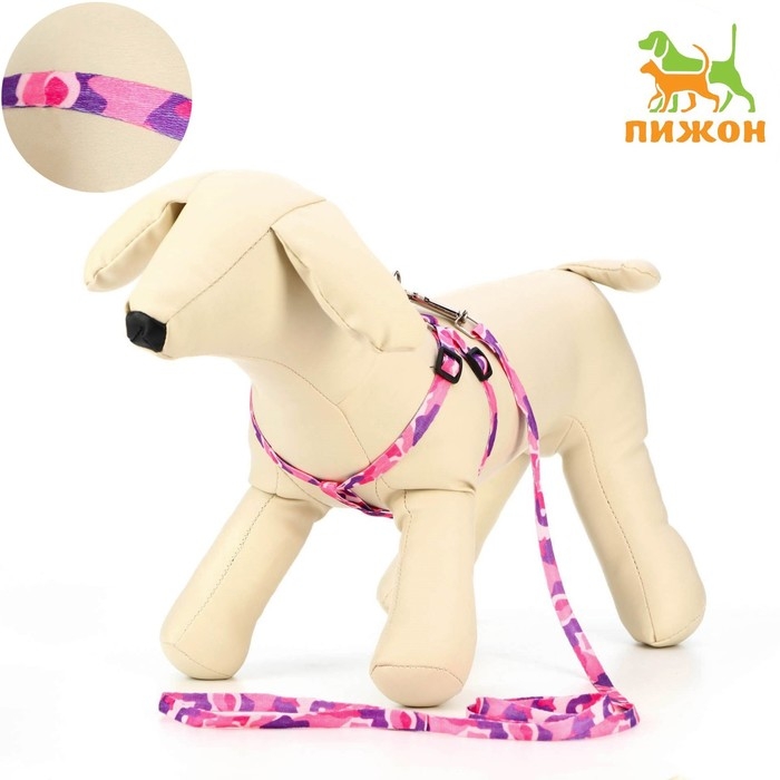 Комплект "Камуфляж", капрон, ширина 1см,шлейка 21-35 см,поводок 120 см, капрон, розов/фиолет