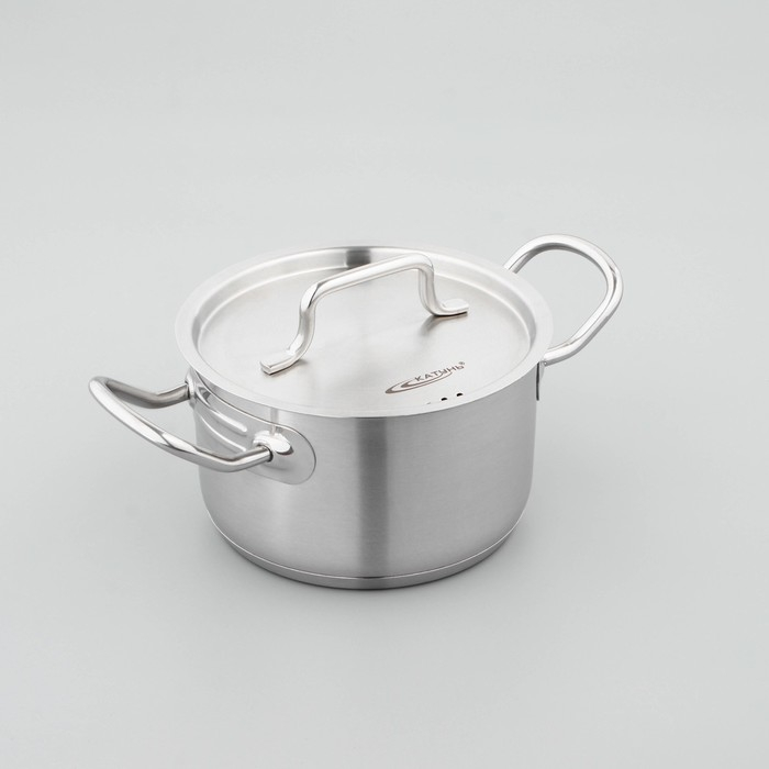 Кастрюля &laquo;Общепит&raquo;, 2 л, d=16 см, h=10 см, капсульное дно, индукция